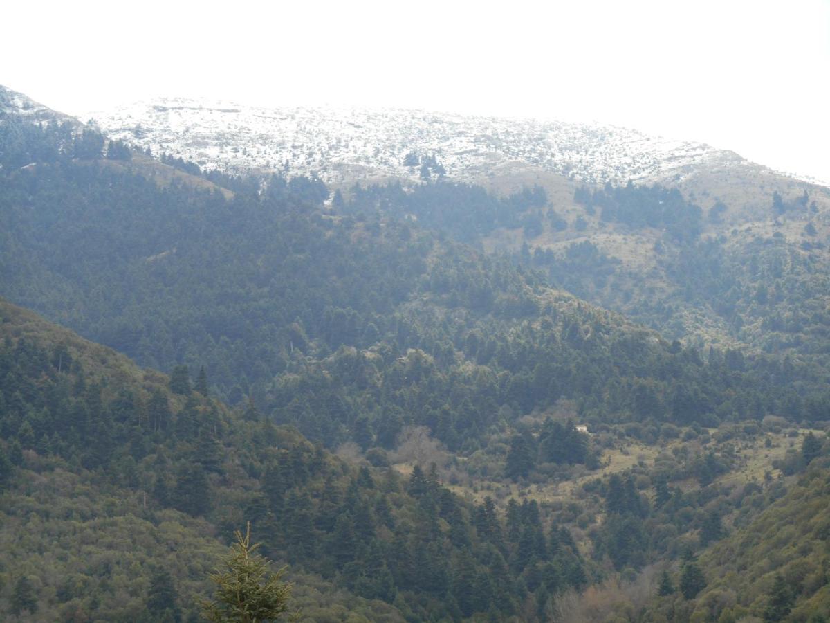 Amadriades Kalavryta Exterior foto